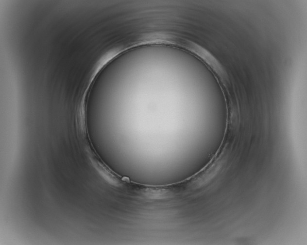 X0000115781242200911201305