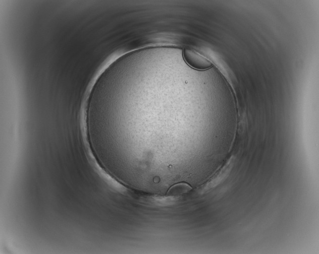 X0000115781243200911201305