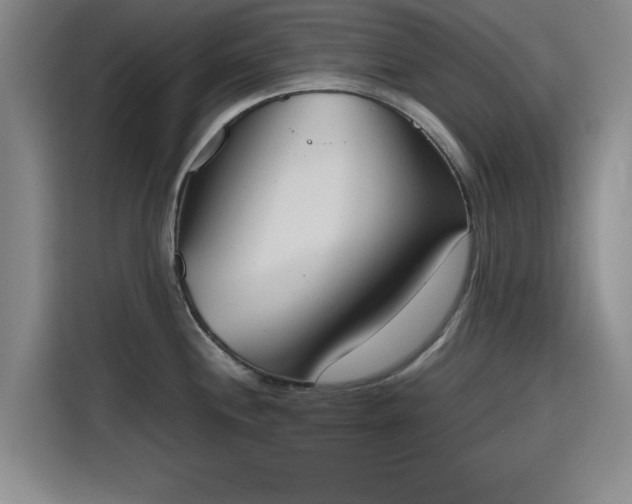 X0000115781244200911201305