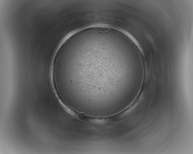 X0000115781245200911201305