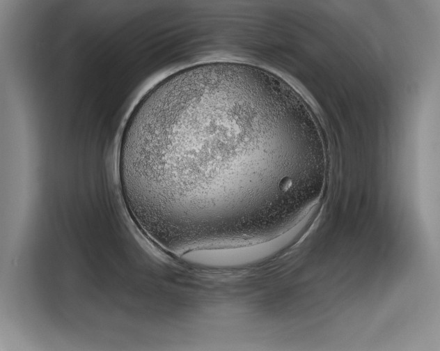X0000115781246200911201305