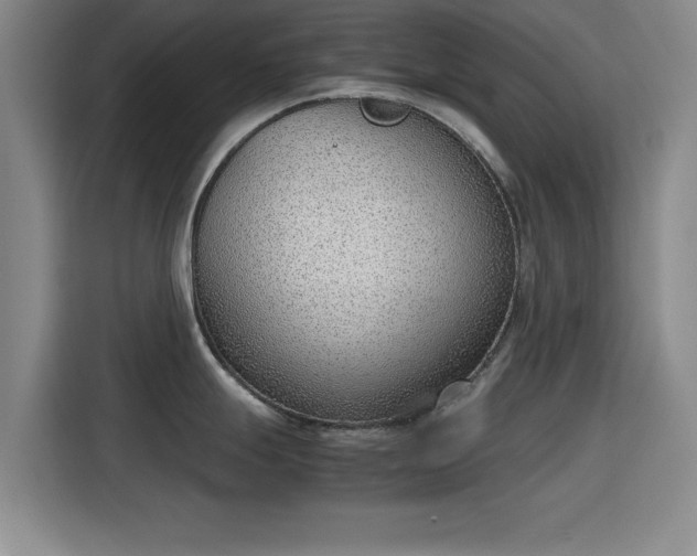 X0000115781247200911201305