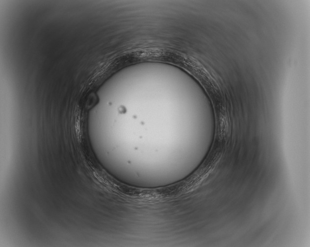 X0000115781250200911201305