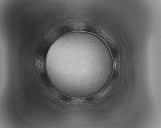 X0000115781251200911201305