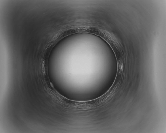 X0000115781252200911201305