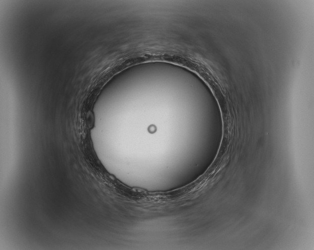 X0000115781253200911201305