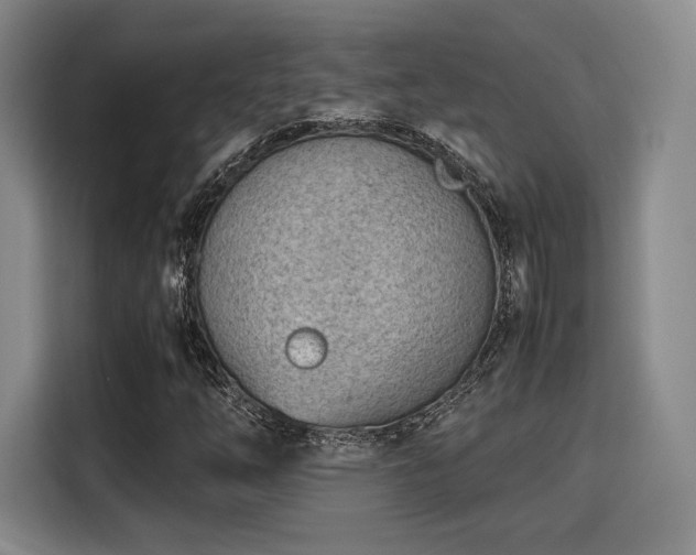 X0000115781254200911201305