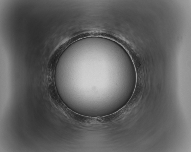 X0000115781255200911201305