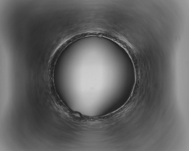 X0000115781256200911201305