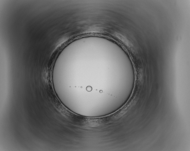 X0000115781258200911201305