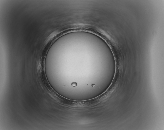 X0000115781259200911201305