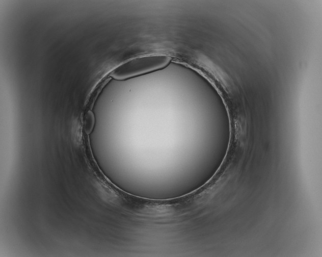 X0000115781260200911201305