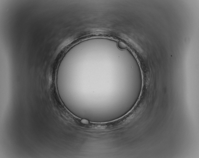 X0000115781261200911201305