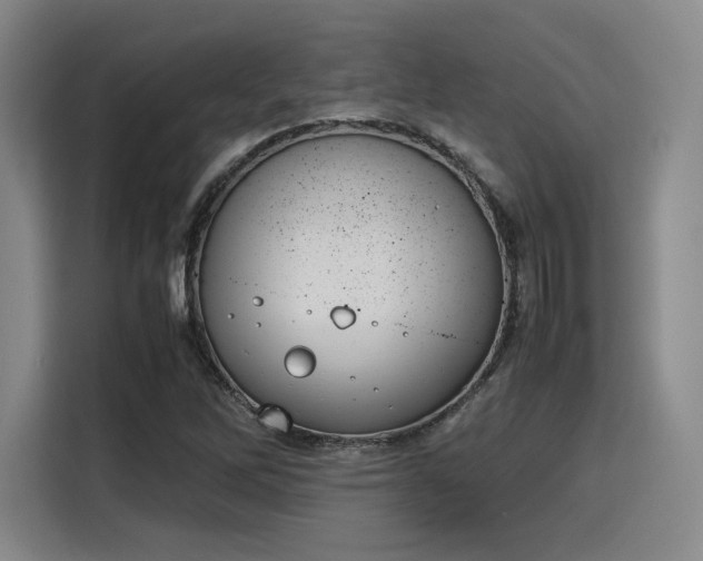 X0000115781262200911201305