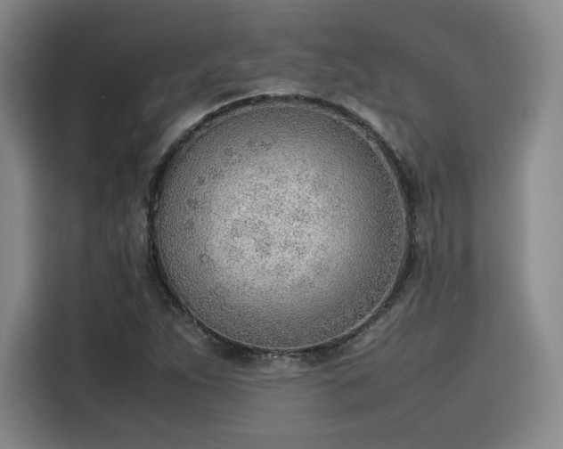 X0000115781263200911201305