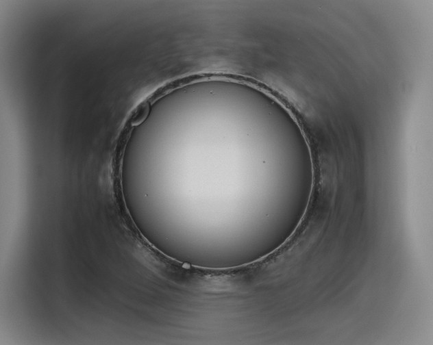 X0000115781264200911201305