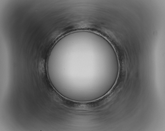 X0000115781265200911201305