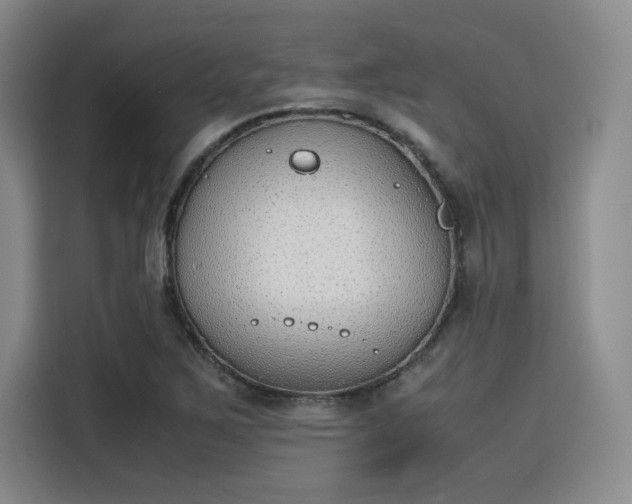 X0000115781267200911201305