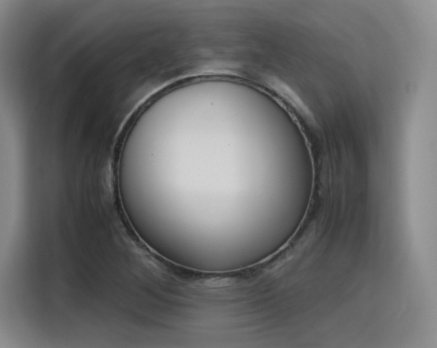 X0000115781268200911201305