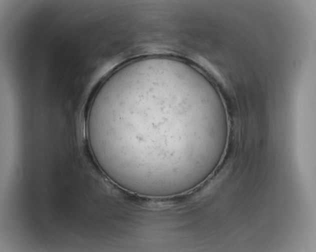 X0000115781269200911201305