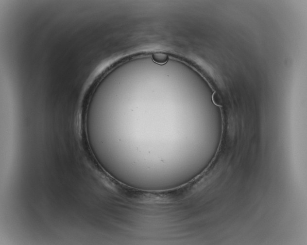 X0000115781270200911201304