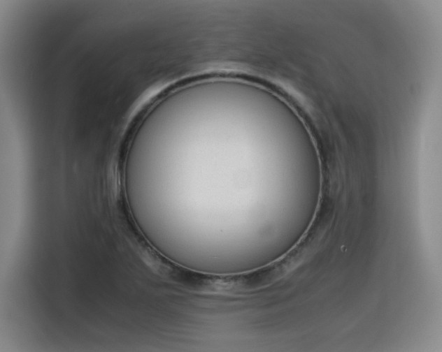 X0000115781271200911201304