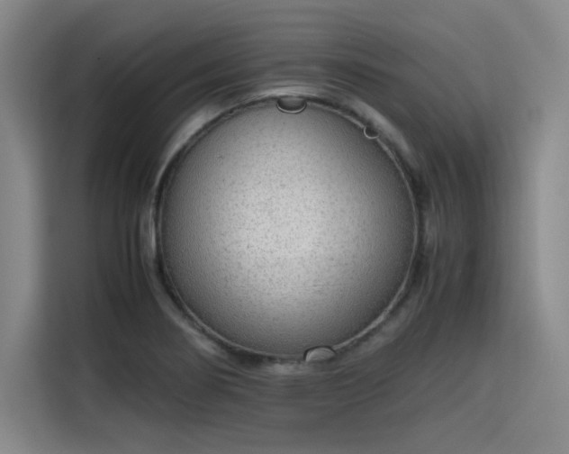 X0000115781274200911201304