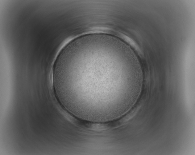 X0000115781275200911201304
