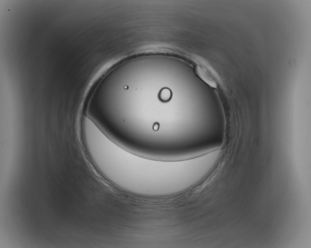 X0000115781277200911201304