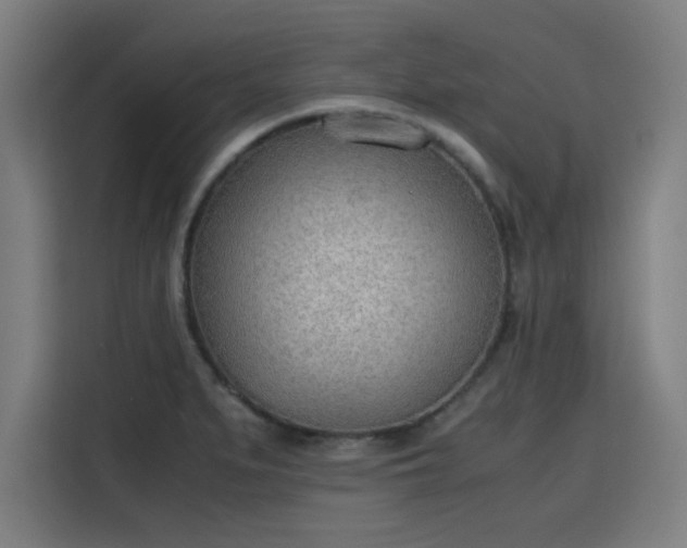 X0000115781279200911201304