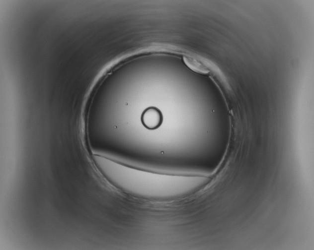 X0000115781280200911201304
