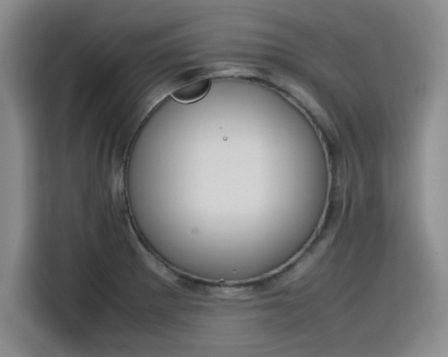 X0000115781281200911201304