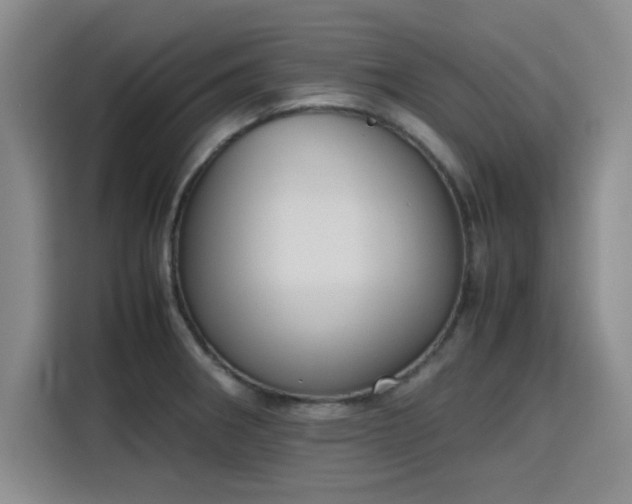 X0000115781282200911201304