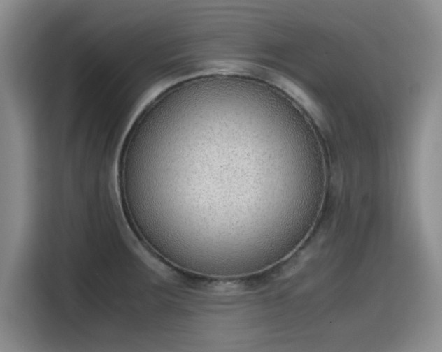 X0000115781283200911201304