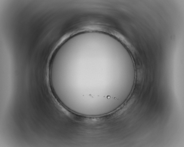 X0000115781286200911201304