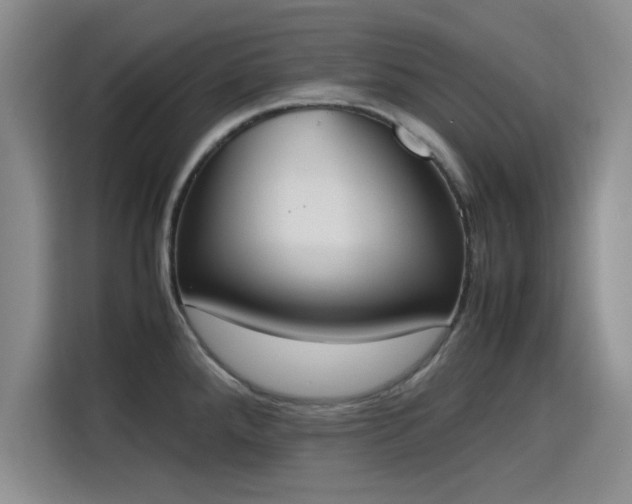 X0000115781288200911201304