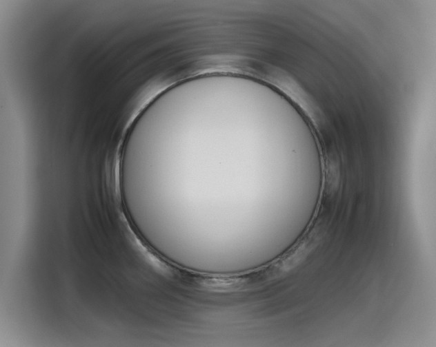 X0000115781290200911201304