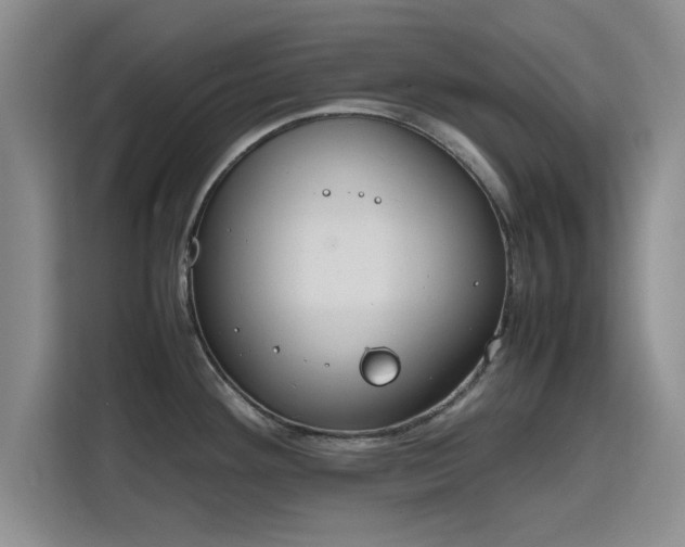 X0000115781292200911201304
