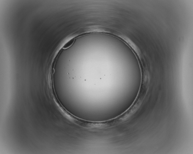 X0000115781293200911201304