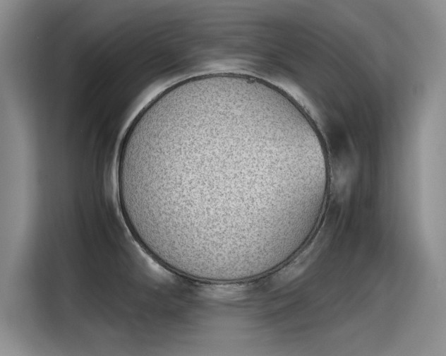 X0000115781294200911201304