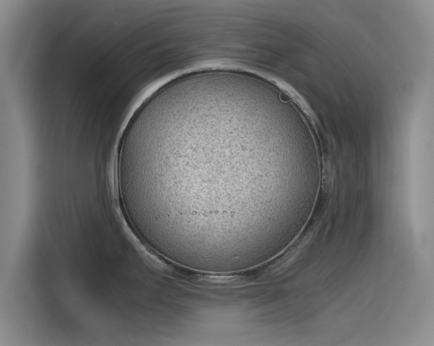 X0000115781295200911201304
