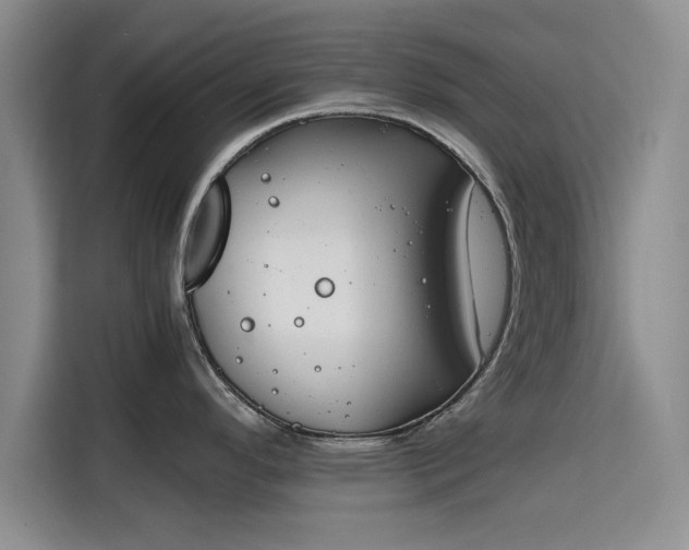 X0000115781296200911201304
