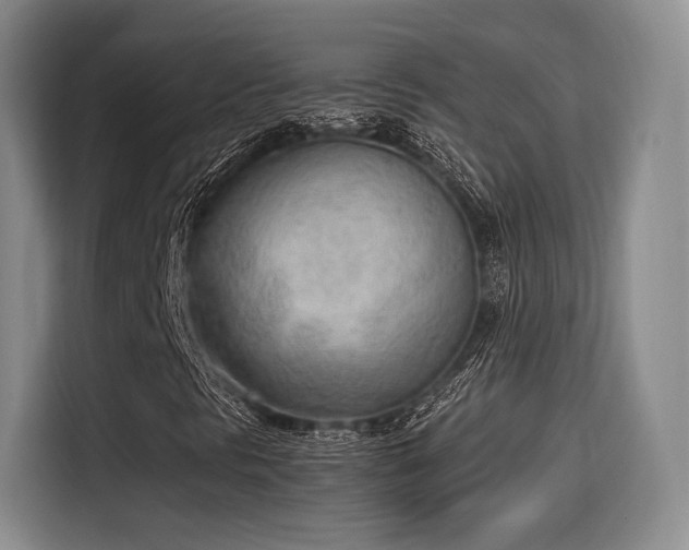 X0000115781297200911201304