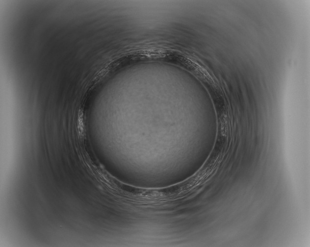X0000115781298200911201304
