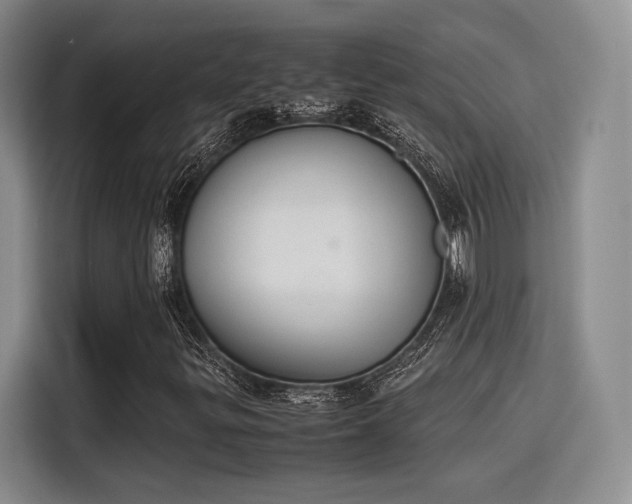 X0000115781299200911201304