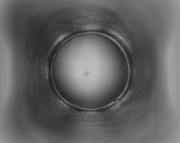 X0000115781306200911201304