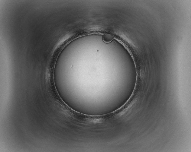 X0000115781309200911201304