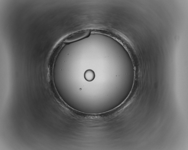 X0000115781310200911201304