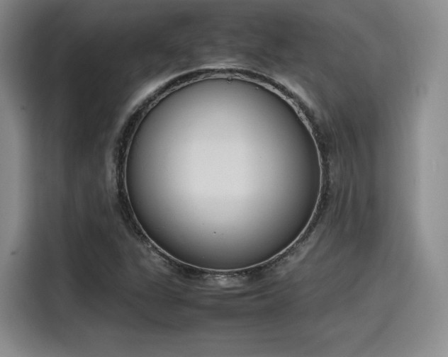 X0000115781311200911201304