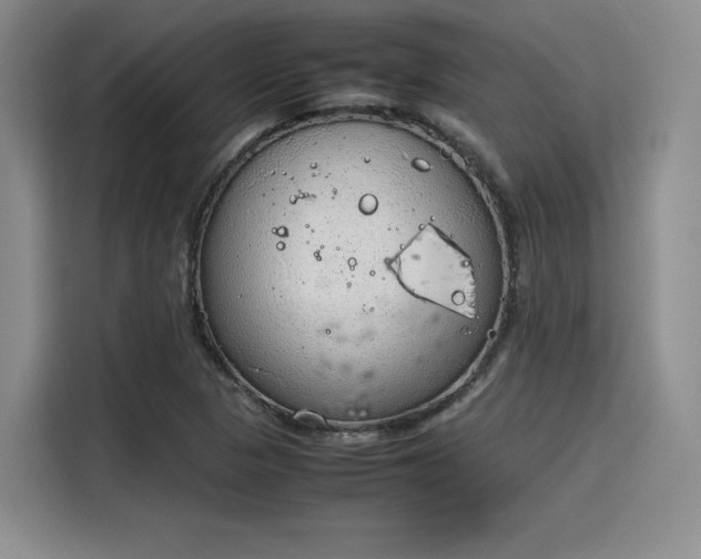X0000115781313200911201304
